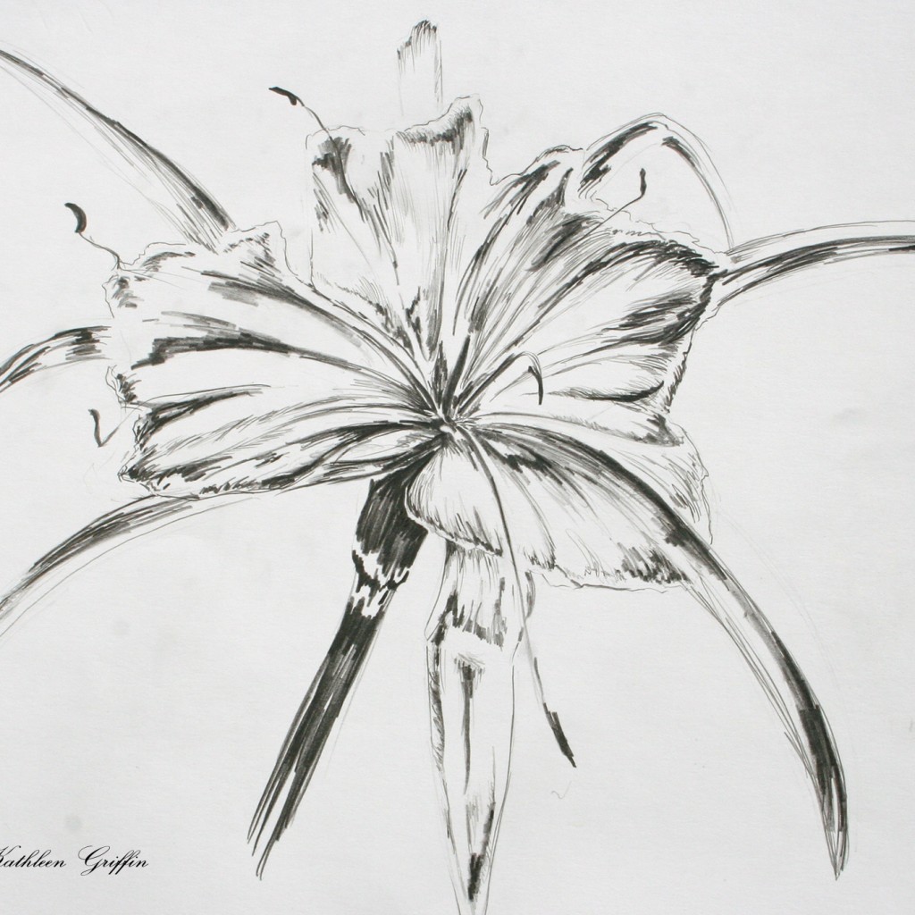 Living With Spiders Kathleen Griffin 01c