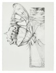 KathleenGriffinArt-1_23